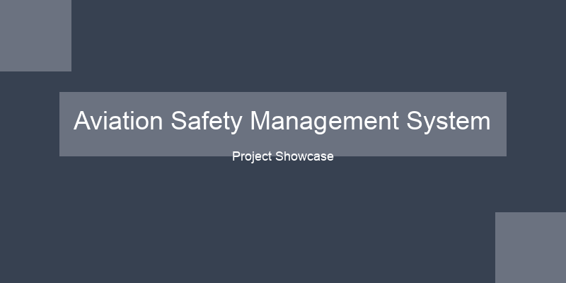 Aviation Safety Management System
